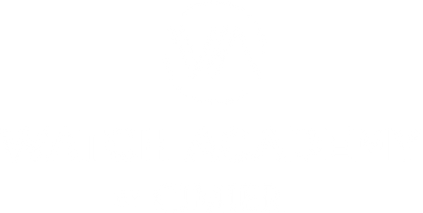 Watch Academy by Cimier